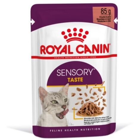 Umido Gatto Busta 85 gr Sensory Taste Jelly Royal Canin
