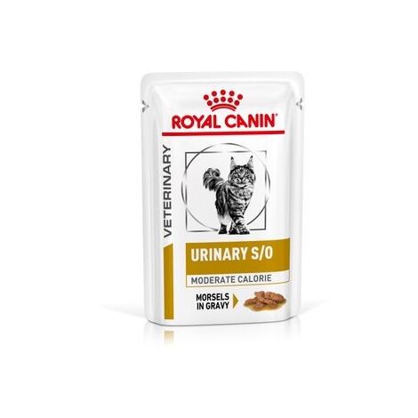 Umido Gatto Busta 85 gr Urinary Moderate Calorie Royal Canin
