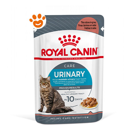 Umido Gatto Busta 85 gr Urinary Royal Canin