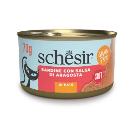 Umido Gatto - Schesir Grain Free Patè Sardine e Aragosta 70 gr