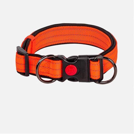 un Collier Pour Chien S Orange Fluo, Collier En Nylon, Adapt Aux Chiens, Petit Dressage Rglable Et Rflchissant