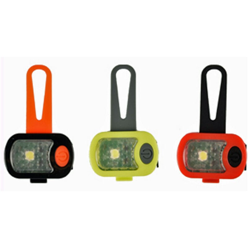 

Una luz de seguridad para perros. De color aleatorio.