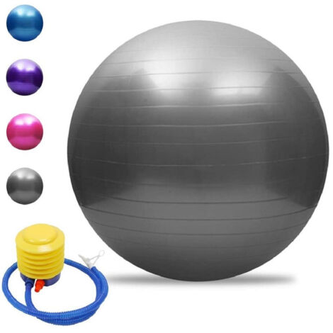 Une Balle De Gymnastique Avec Pompe Pour Pilates Argent