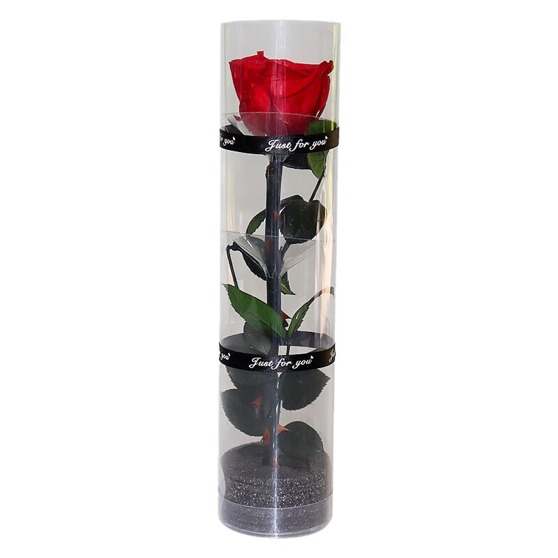 Tuserxln - Une Vraie Rose Préservée, Rose Éternelle, Rose Durable, Rose à Floraison Éternelle