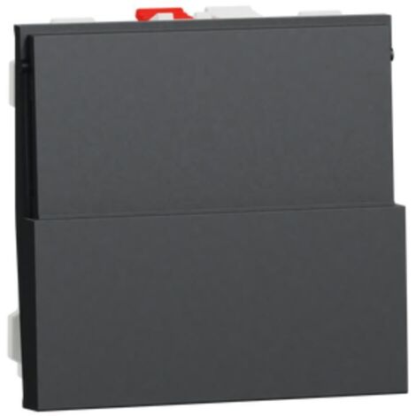 Unica - poussoir NO/NF porte-étiquette - 10 A - 2 mod - Anthracite - méca seul (NU324654)