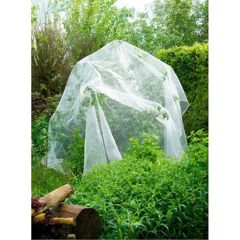 Nature Rete per Piante Rampicanti Verde 1x10 m 6030429