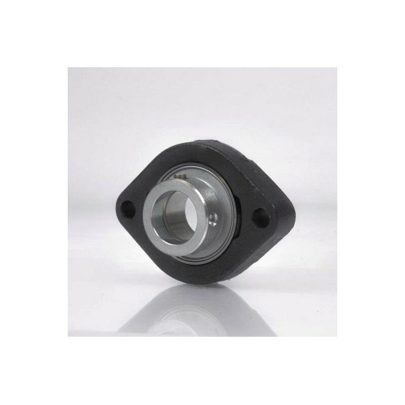 

Unidad de alojamiento de cojinetes con brida GLCTE35 DI 35 mm ovalada NKE