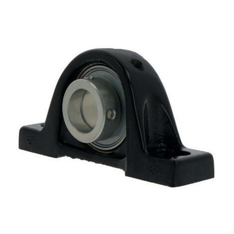 Unidad de soporte de pie AELUP206 D1 Anillo de fijación excéntrico de 31,75 mm NTN