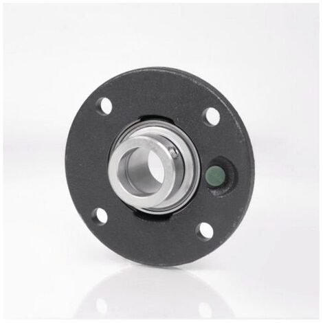 Unité de boîtier à bride RMEY40N Int 40mm rd.INA