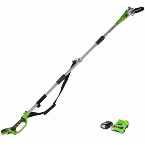 Unité de scie à perche Greenworks G24PS20K2 24 V 1x2 0 Ah accu.