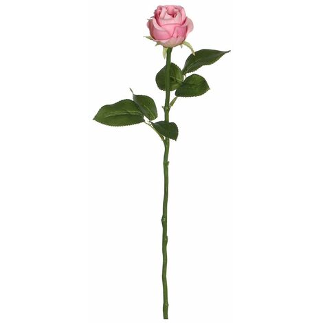 *unitésult.* rose rose 45cm