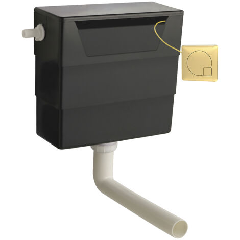 Universal Water Saving Dual Flush Side Inlet & Square Flush Plate - Brushed Brass/Black