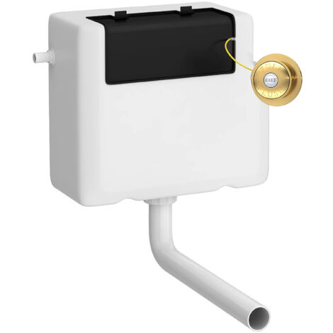 Universal Water Saving Dual Flush Side Inlet & Traditional Push Button - Brushed Brass/White