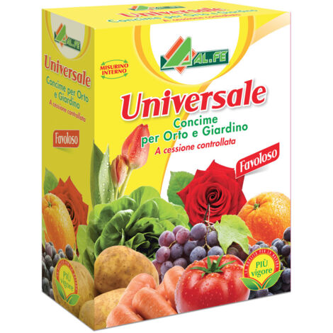 Universale scatola kg 1 X20 PZ