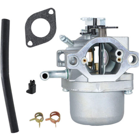 Universalvergaser für Rasenmähermodelle BS 794421 698413 CC760 - ANDERE