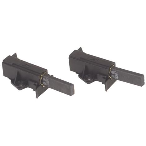 Universel - convient pour electrolux balais moteur - aeg / zanussi - sole / fhp type " r " - set 2pcs - altern. - 4006020343