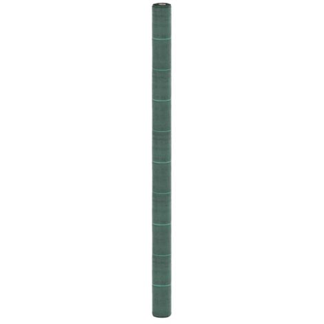 Unkrautvlies Grün 2x5 m PP vidaXL