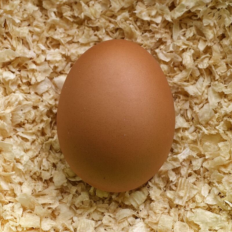 Uovo Finto Di Gallina In Ceramica Color Crema