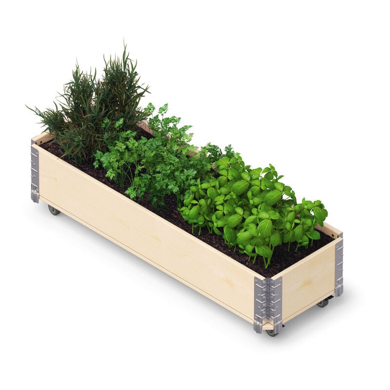 Upyard - HerbsBox Long - bac à herbes avec roulettes, 120x40 cm, bois naturel