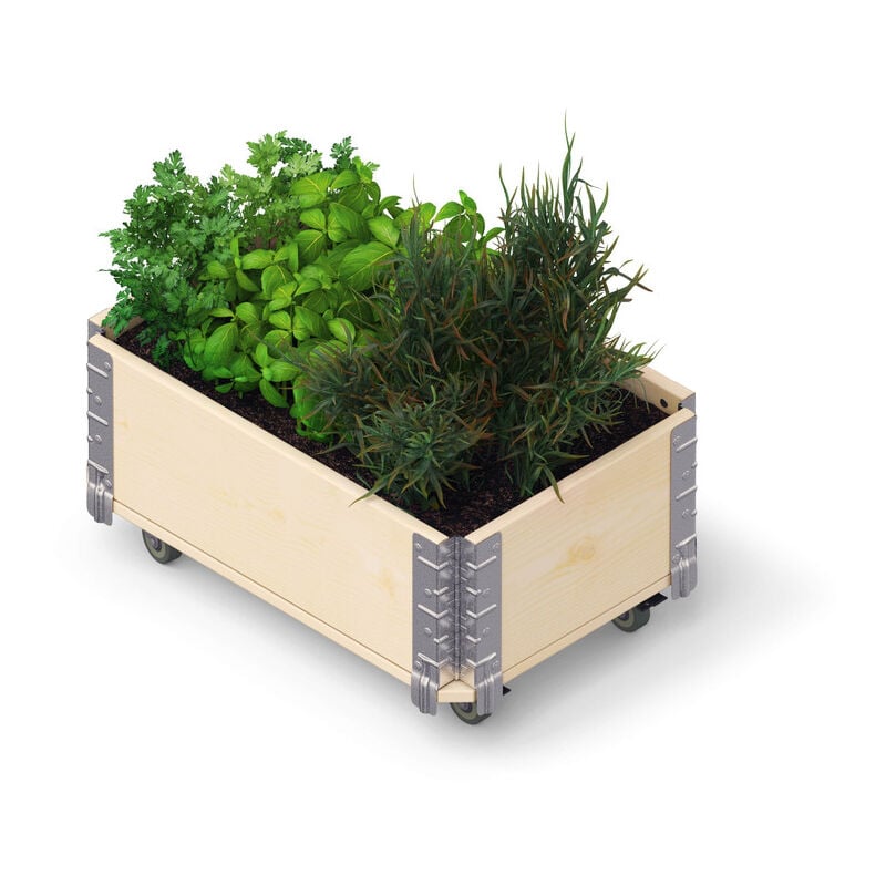 Upyard HerbsBox Short - bac à herbes avec roulettes, 60x40 cm, bois naturel