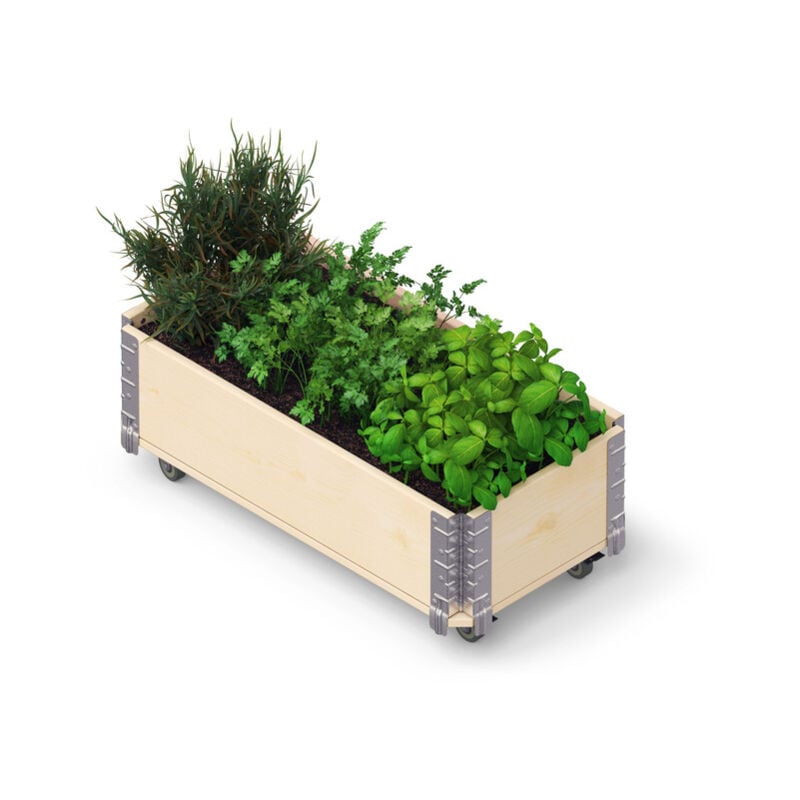 HerbsBox Short - bac à herbes avec roulettes, 80x40 cm, bois naturel - Upyard