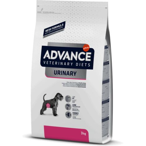 Urinary