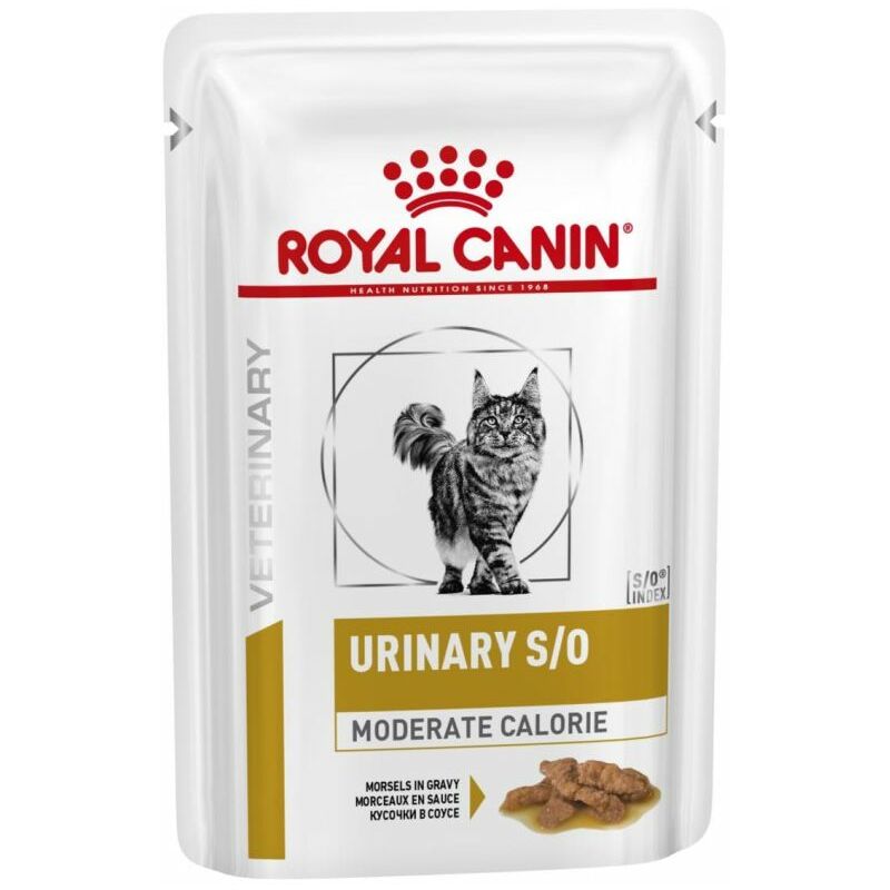 Royal Caniin Umido Gatto, Urinary S/O Moderate Calorie straccetti in salsa 85gr