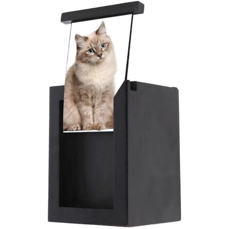 Urne funéraire en bois pour animaux de compagnie avec cadre photo, boîte commémorative avec cadre photo, pour chats