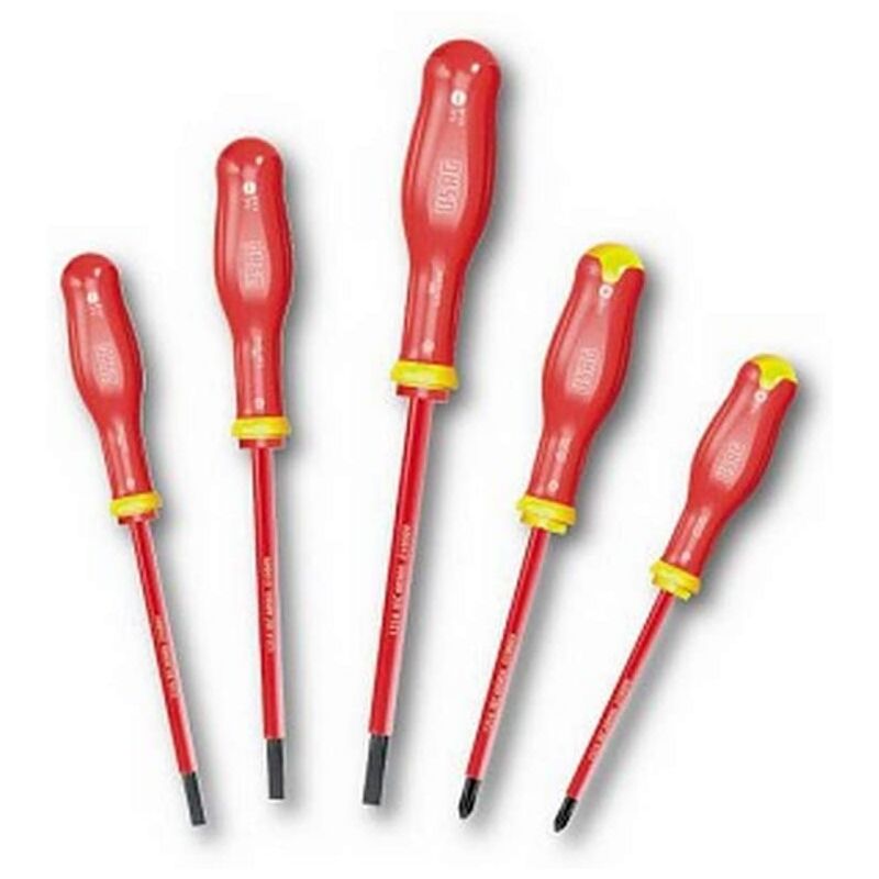 Usag - 091 SH5 Jeu De 5 Tournevis Pour Vis Fente Et Phillips 1000V