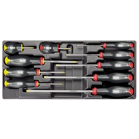 USAG Modulo Termoformato  10 Giraviti Intaglio PHILLIPS 519/324H 415x188mm