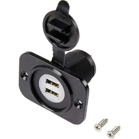 USB-Doppeleinbaubuchse mit Staubschutzkappe Buchse, Einbau vertikal  2-fach, Front rechteckig 43.1 x