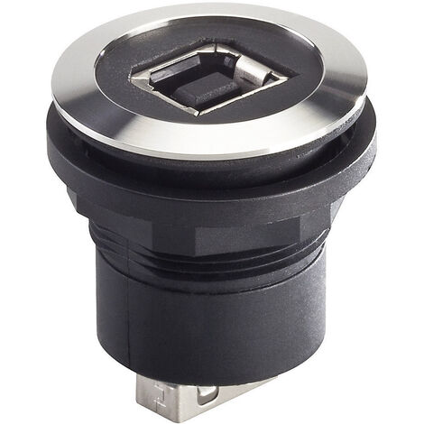 USB-Einbaubuchsen 2.0 Buchse, Einbau RRJVAUSBBA  RRJVAUSBBA Schlegel Inhalt: 1 St.