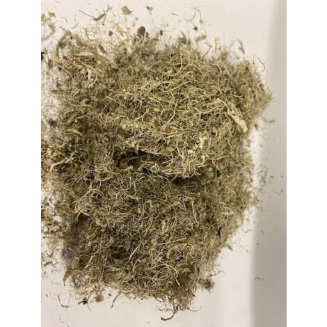 Usnea - Mauvaise herbe commune coupée 500 g