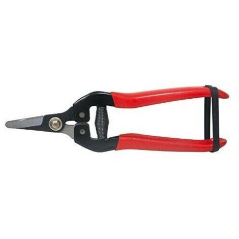Utilia FORBICI COGLIUVA LAMA DRITTA  cm. 19 Utilia 10 PZ