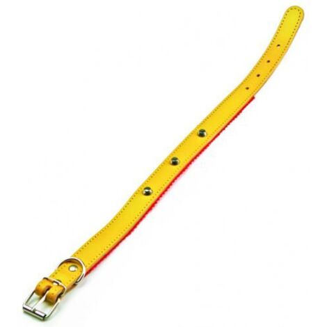 Utilia Pet COLLARE IN CUOIO FELPATO CON BORCHIE cm. 51x2,5 col. Assortiti 6 PZ