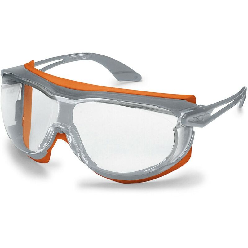 Uvex - 9175-275 Skyguard nt Dust Protection Glasses