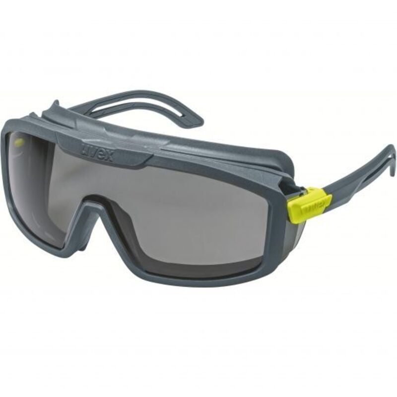 Lunettes de protection Uvex Gris ( Prix pour 1 )