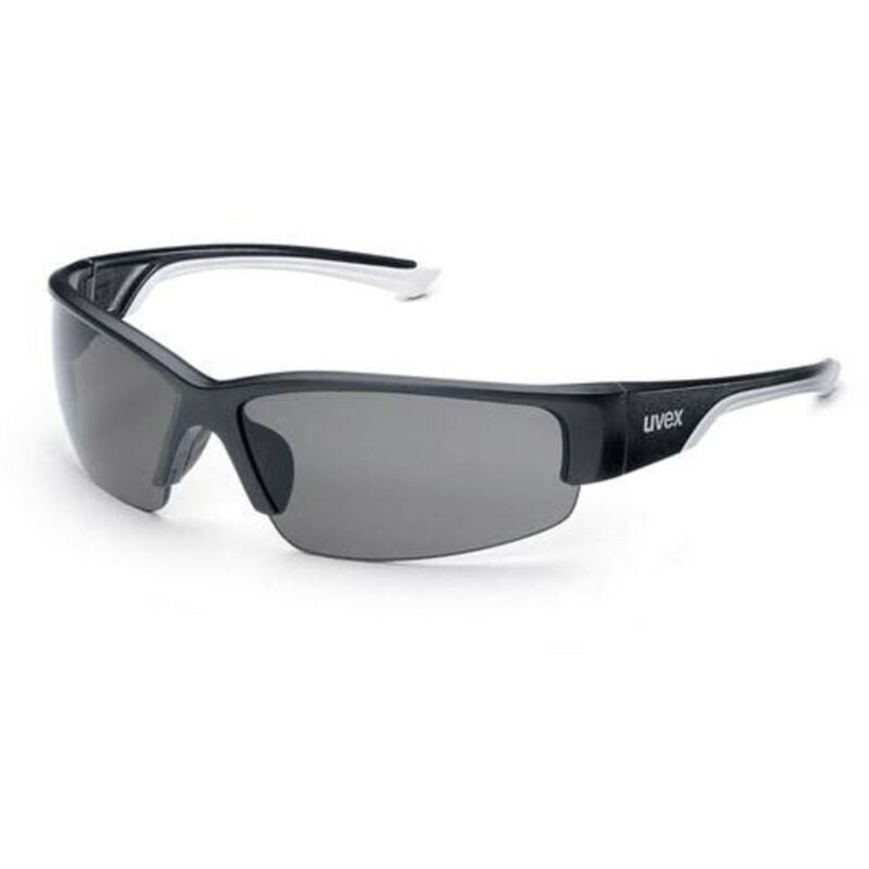 Polavision 9231960 Occhiali di protezione incl. Protezione raggi uv Nero, Bianco - Uvex