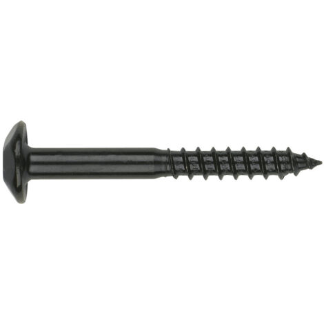Lot De 10 Vis Penture Torx 6x30mm Tête Fraisée Bombée Zinguée Noir - Marque Fixpro