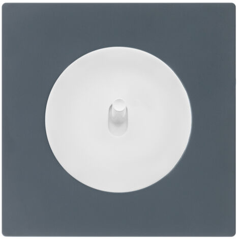 Va et vient blanc - manette blanc glossy DOM + plaque simple blue grey - FONTINI