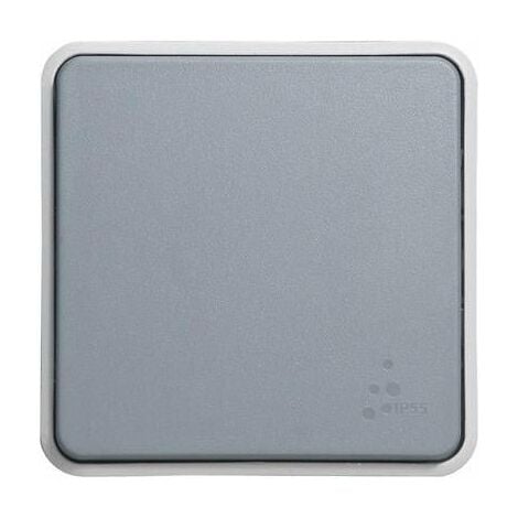 Interrupteur ou va-et-vient étanche Plexo composable IP55 10AX 250V - gris