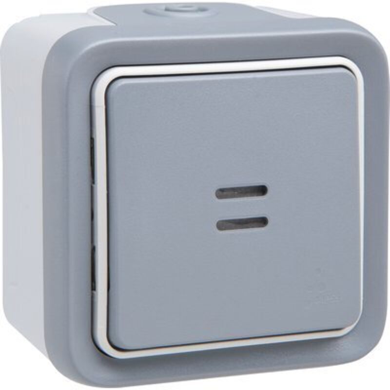 Interrupteur ou va-et-vient lumineux Plexo complet IP55 saillie 10AX 250V gris (069713)