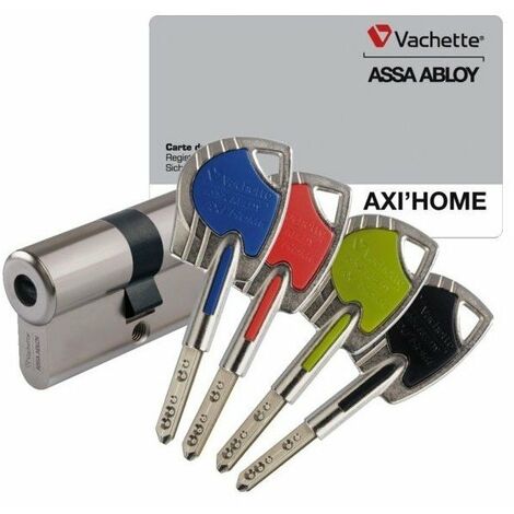 Vachette – Cylindre de serrure A2P double 30 x 10 mm – Nickelé – 5 goupilles inox – Livré avec 4 clés couleur – Résistance aux effractions - 4cles