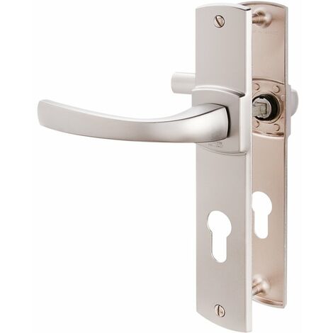 Vachette – Poignée de porte d'entrée sur plaque – Zamak gris argent – Entraxe 195 mm – Résistance à la corrosion grade 4 – Installation facile