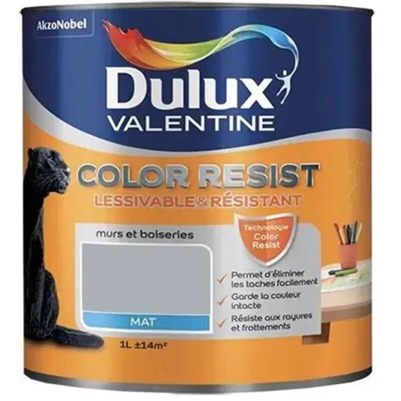 Peinture acrylique Color Resist Gris acier Mat 1 l - Dulux Valentine