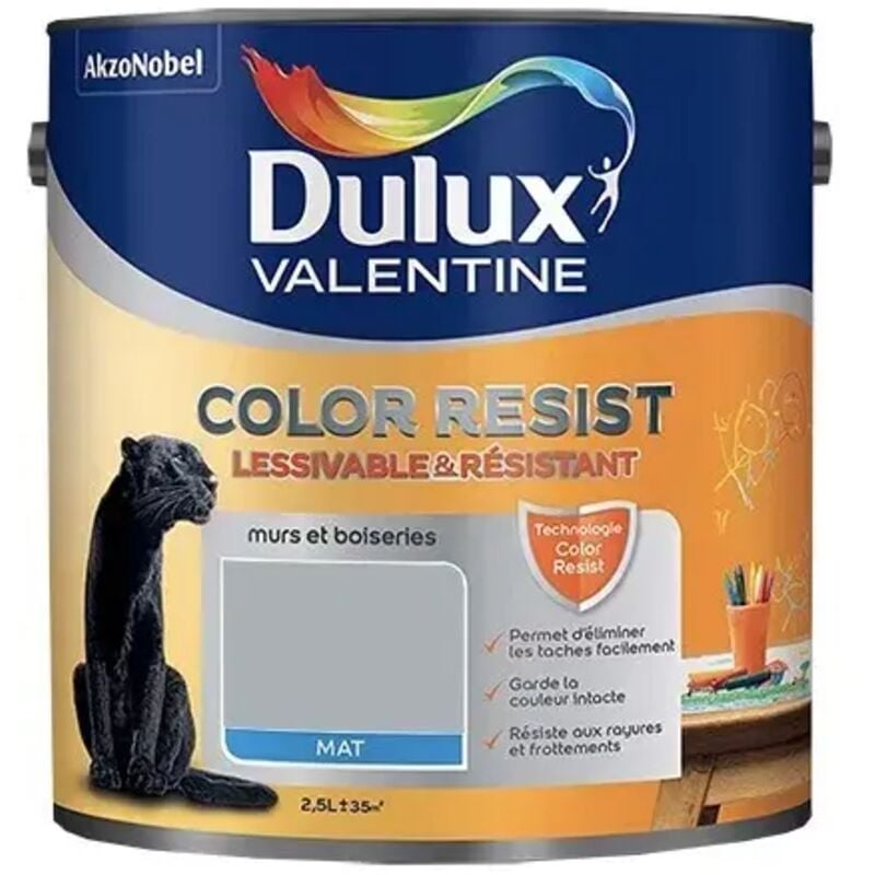 Peinture acrylique Color Resist Gris acier Mat 2,5 l - Dulux Valentine