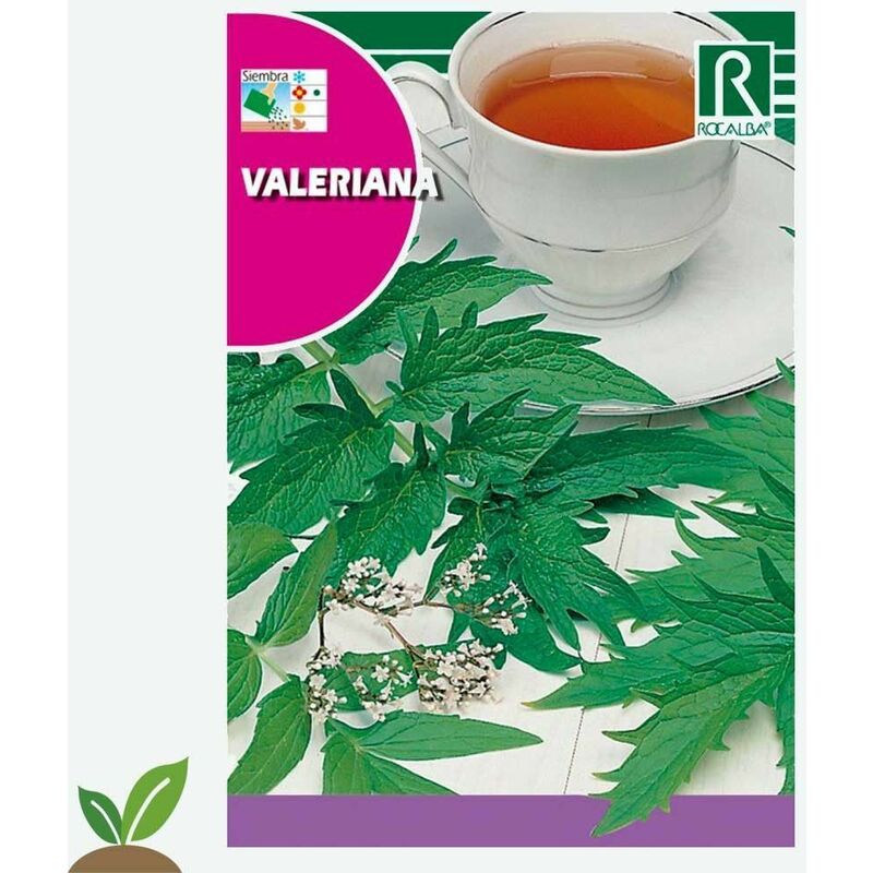 

Valeriana - Sobre De Semillas 0,2 G