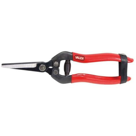 Valex Forbici per Fiori 190 mm Lame Dritte Acciaio Rivestito Gomma