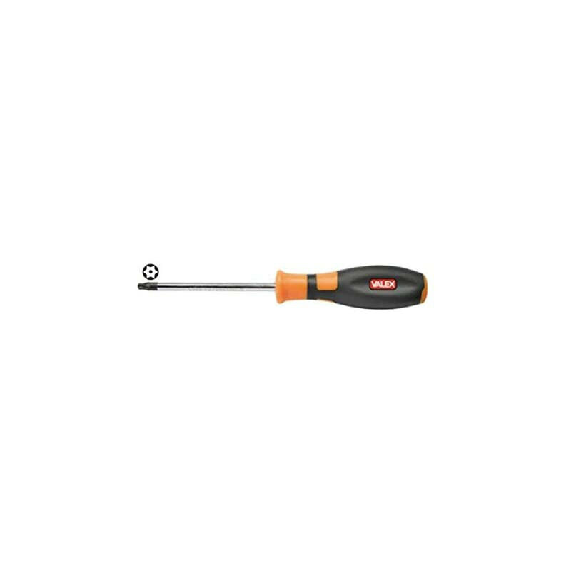 Cacciavite Resistorx 27x6x100 in Acciaio Cromo