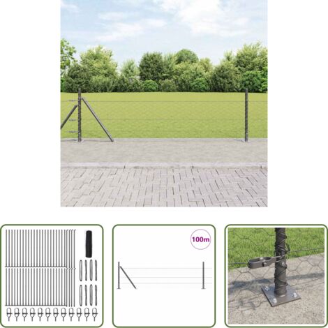 Valla exterior -  Poste de Valla Gris 100 x 0,4 m (malla de 50 mm) Acero y PVC